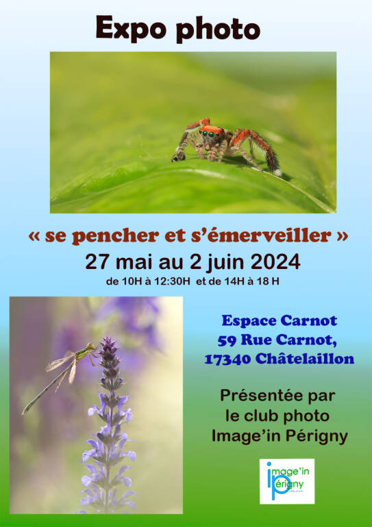 Exposition photos "Se pencher et s