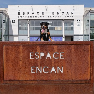 Garderie pour chien à l'Espace Encan de La Rochelle