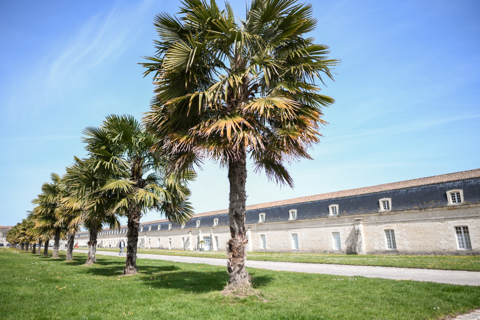 Excursion à Rochefort et Brouage depuis La Rochelle | Office de ... image