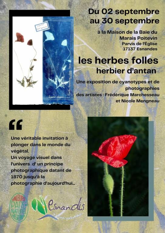 Exposition - Les herbes folles - Herbier d