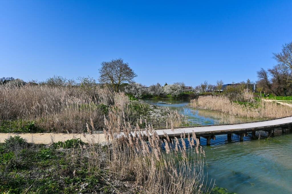 Conférence - Cycle des eaux et des saisons au marais de... Le 6 nov 2024