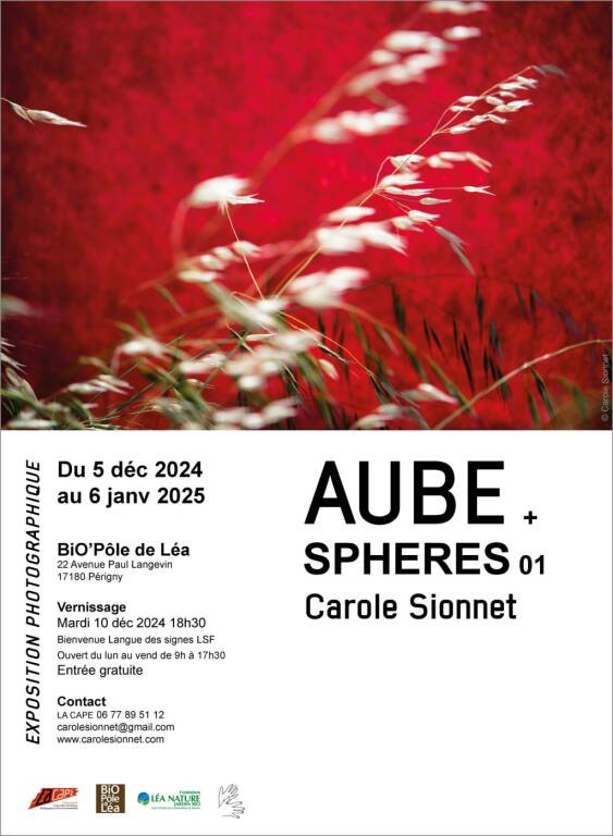 Exposition - Aube + Sphères 01 - Carole Sionnet Du 5/12/2024 au 6/1/2025