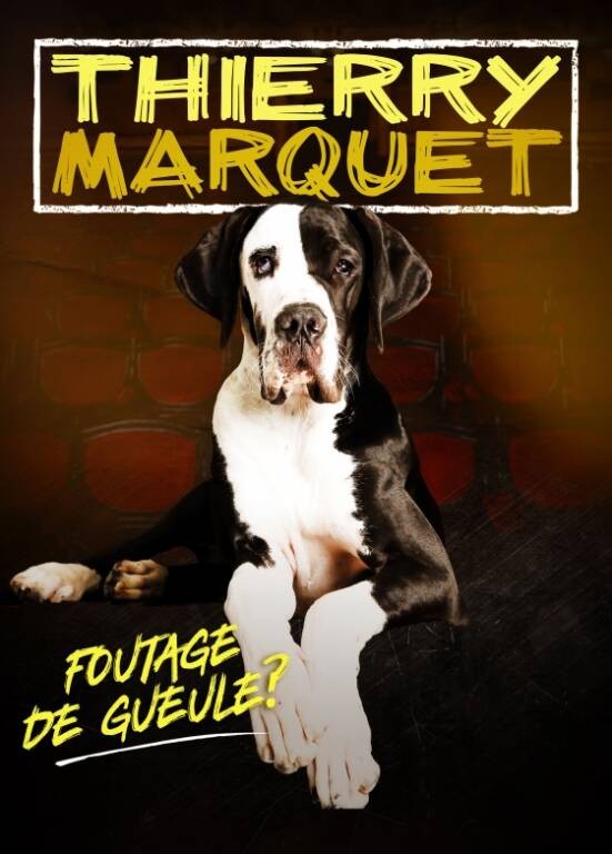 Spectacle - Thierry Marquet - Foutage de gueule Le 11 janv 2025