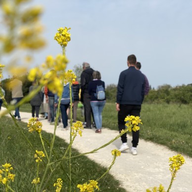 Nos Visites guidées