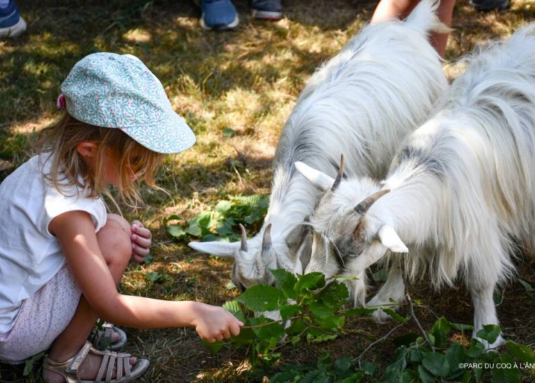 Devenez "Soigneur d'un jour" ou Soigneur en Herbe"