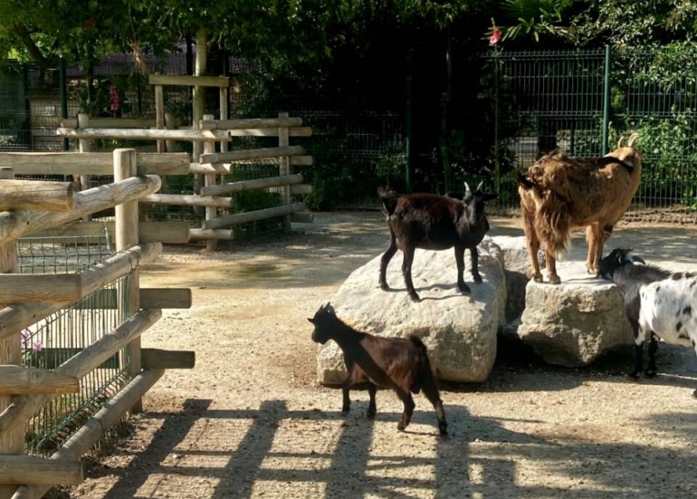 Parc animalier Charles-Edouard Beltrémieux Activités de loisirs