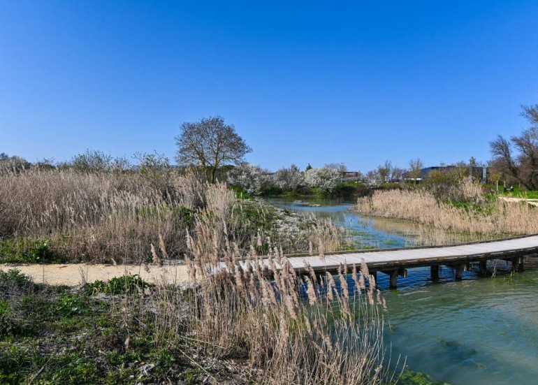 Marais de Tasdon