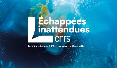 Conférence - Les Échapées Inattendues se racontent à L'Aquarium La Rochelle