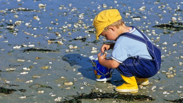 peche coquillage